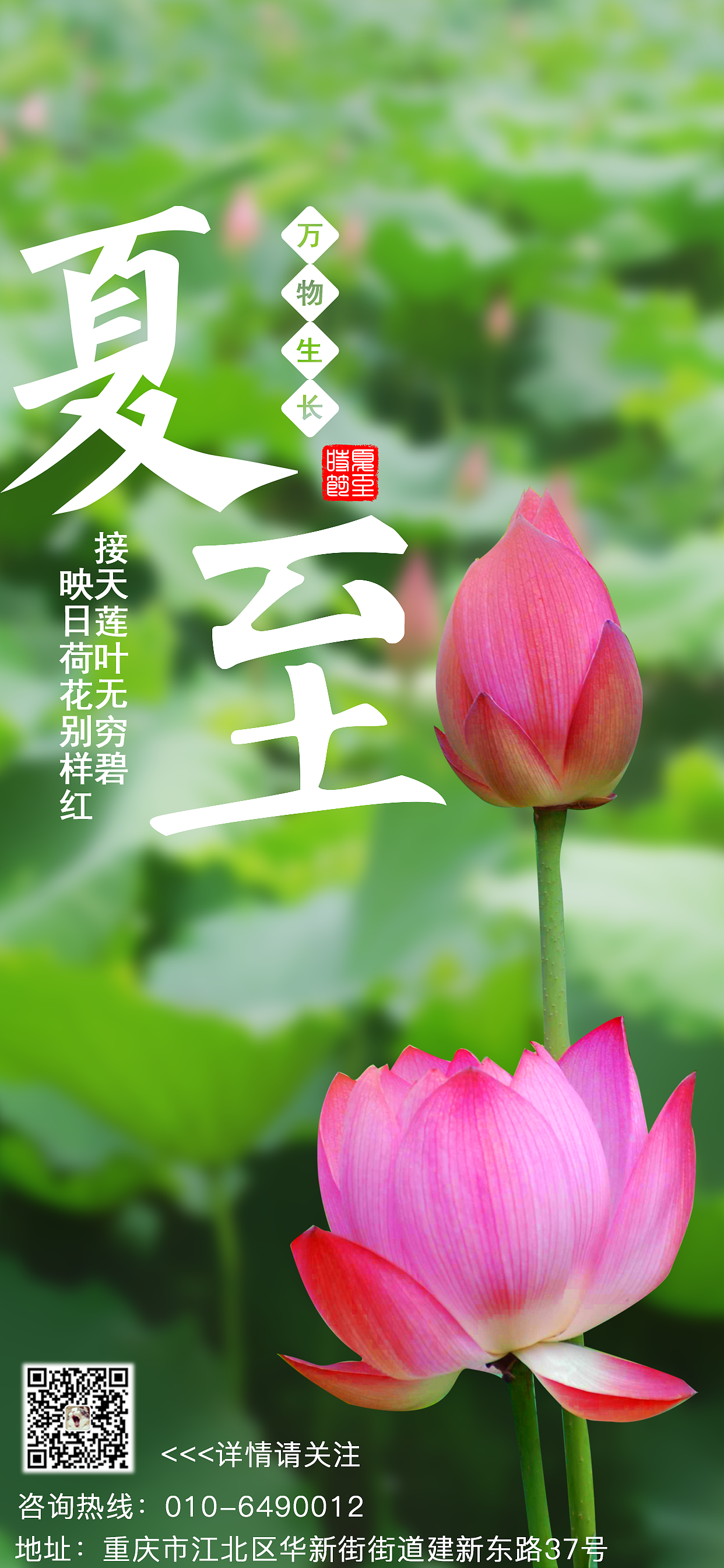 夏至,夏至节气的含义是什么