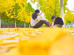 siSter 、brOther and银杏树