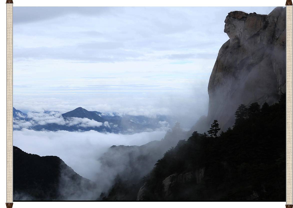 项目策划、产品策划、调研报告、项目分析