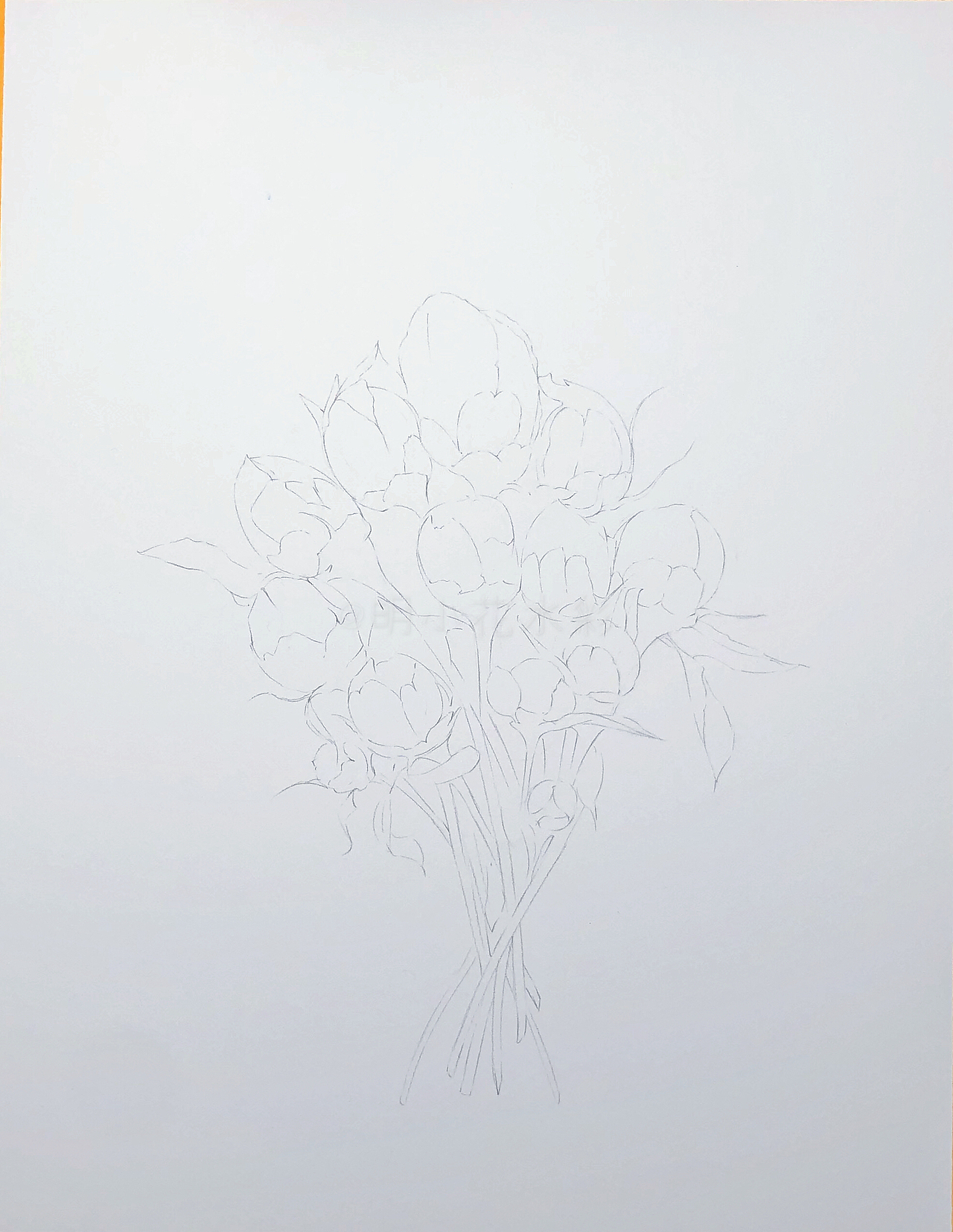 明小花水彩～含苞的优雅～全过程图奉上～（图ZMjIyNDE4MzYw） - 绘画 - 站酷设计师明小花原创素材 - 站酷ZCOOL