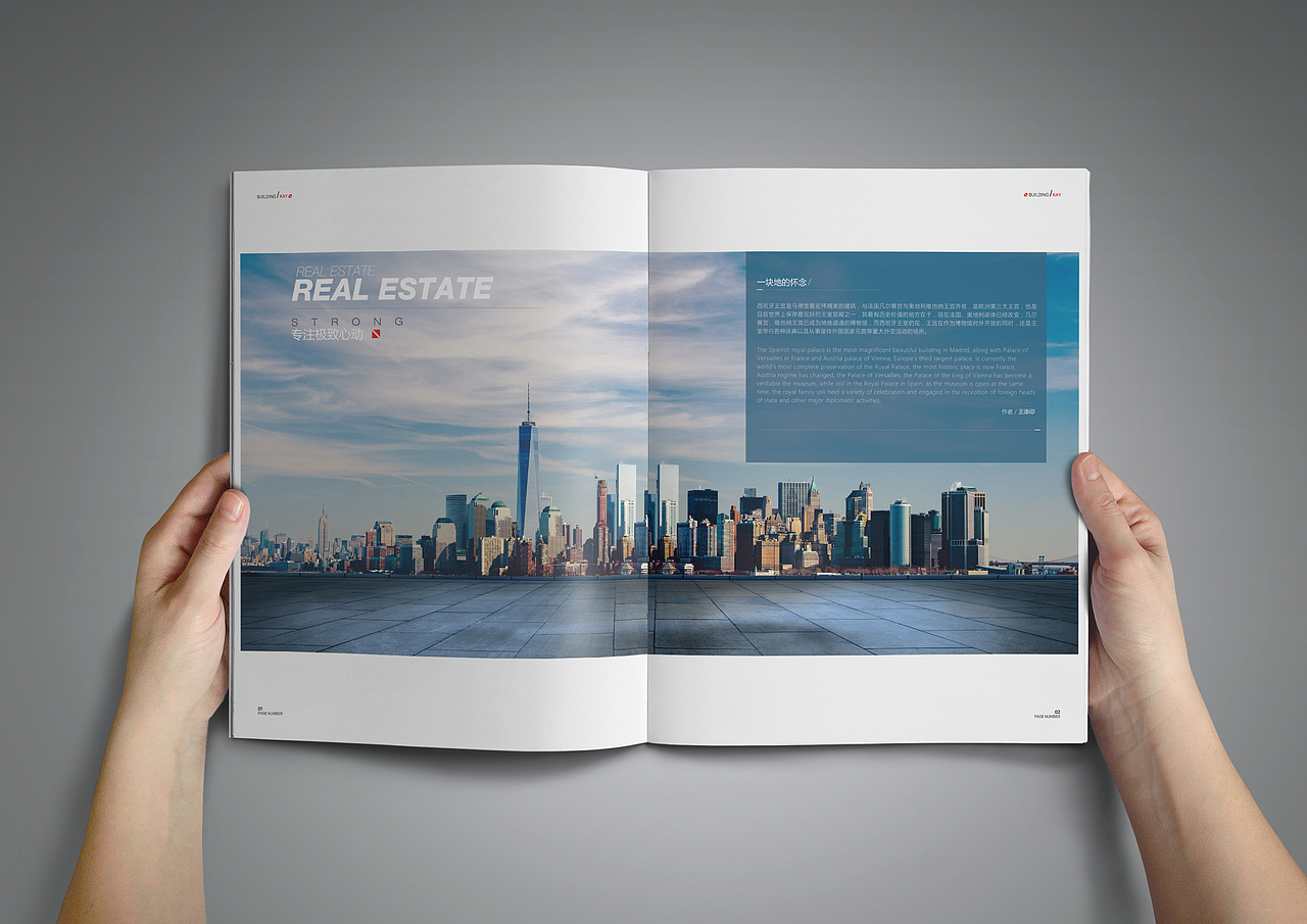 平面设计（图ZMTEwODIwMjE2） - 书籍/画册 - 站酷设计师丿Destiny原创素材 - 站酷ZCOOL