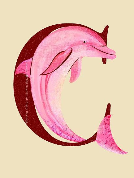 26个字母与动物的创意组合插画（图ZMjE0NjUxNDI0） - 创作习作 - 站酷设计师山之茶花Camellia原创素材 - 站酷ZCOOL