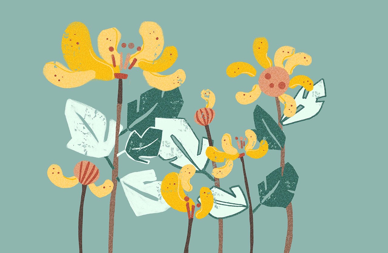 腰果款暂时没有拿到layout