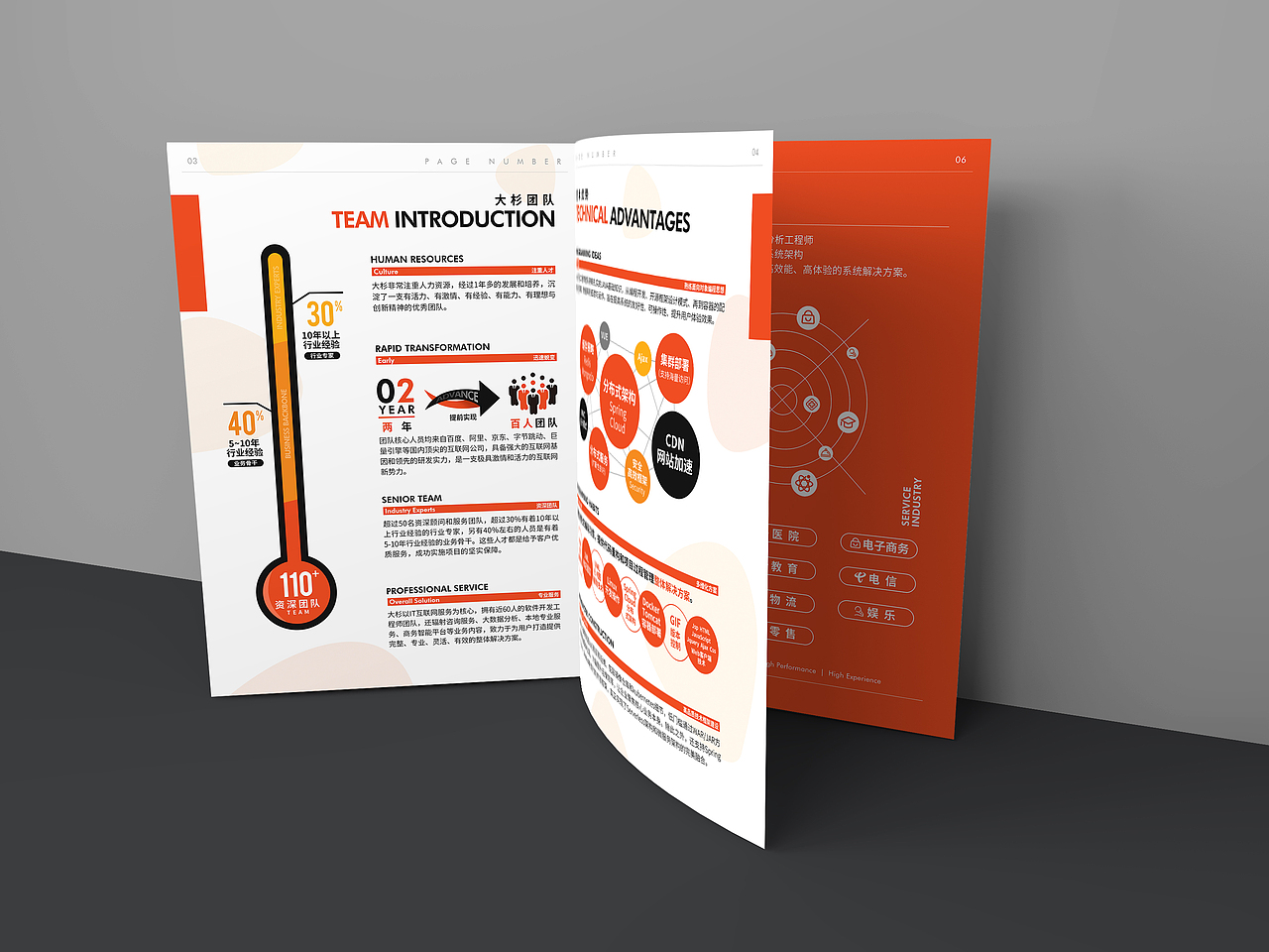 Dashan大杉网络 折页 名片 文化衫（图ZMjI3NDAwMzQ0） - 宣传物料 - 站酷设计师_riny原创素材 - 站酷ZCOOL