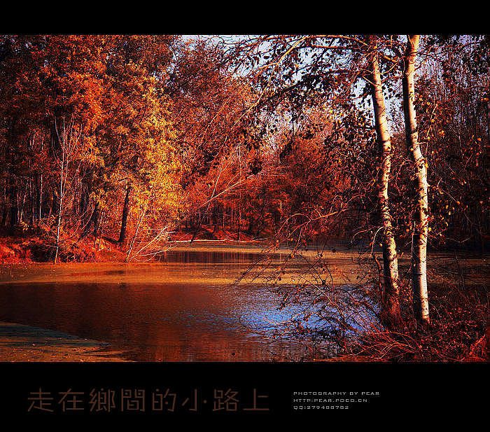 走在乡间的小路上