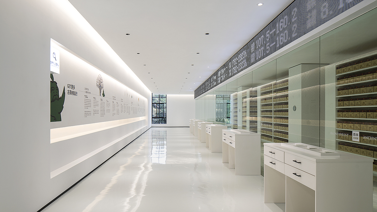 沉浸体验时代,雨林古树茶的体验之旅(图ZMjk0OTg3NTA4) - 展陈设计 - 站酷设计师容品牌原创素材 - 站酷ZCOOL