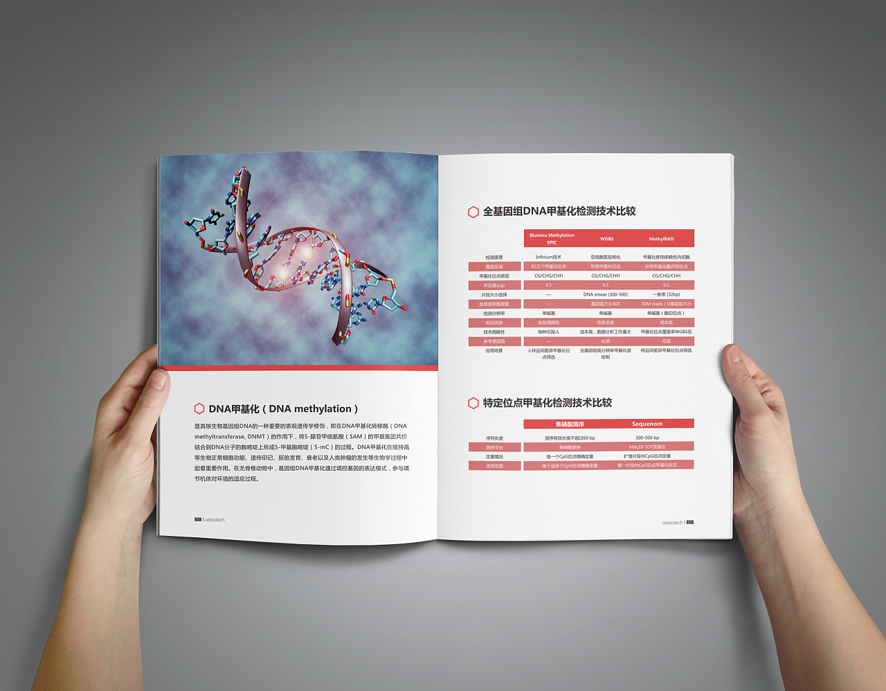 画册-生物科技行业-2016年