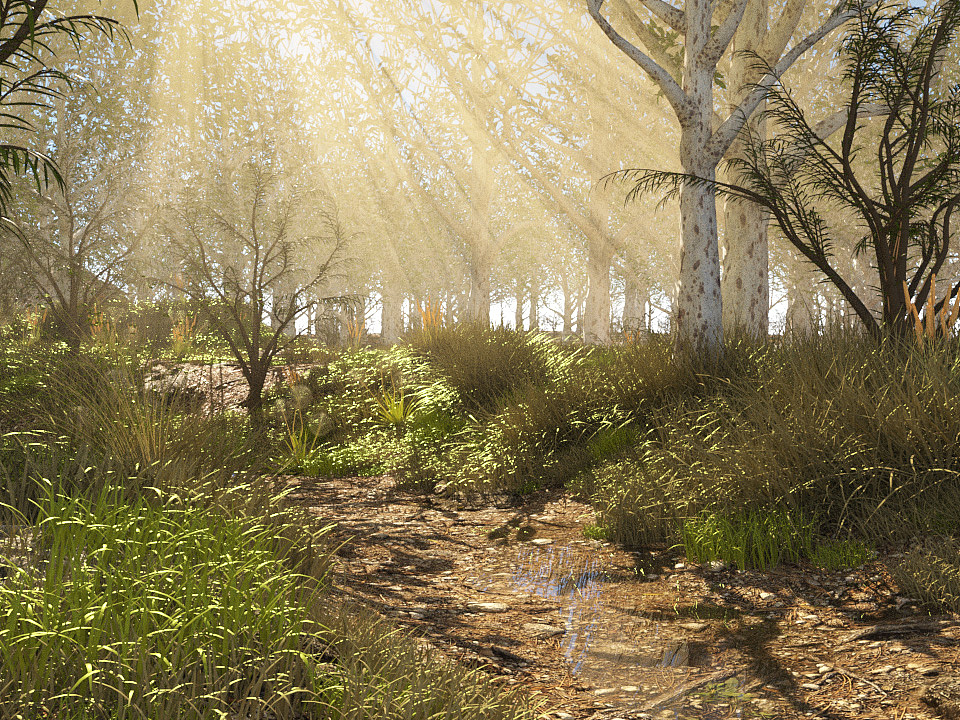 森林小径（图ZMTc1Nzc4ODIw） - 场景 - 站酷设计师久思_follit原创素材 - 站酷ZCOOL