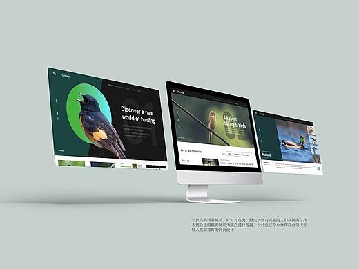 鸟类科普网站设计