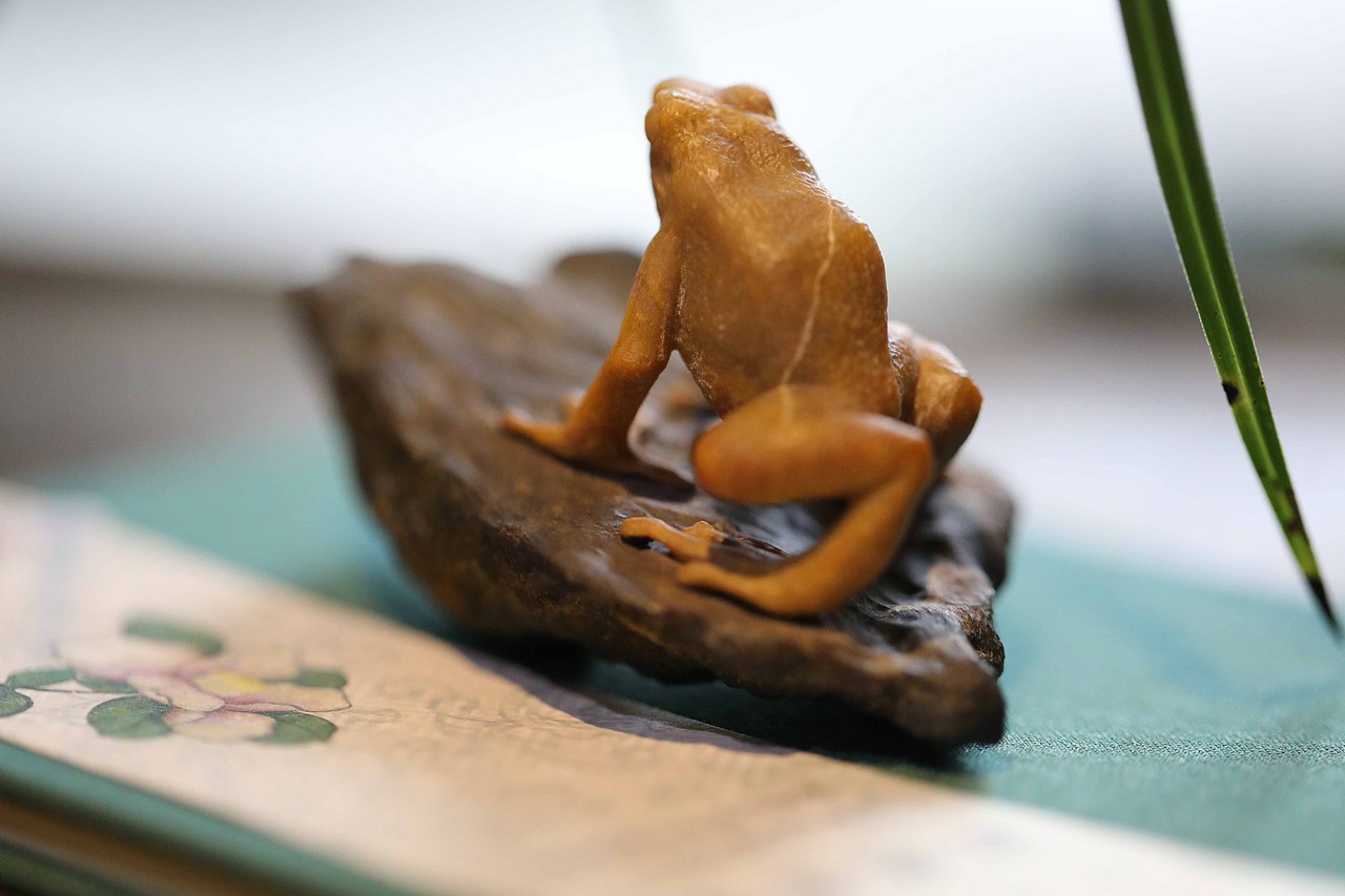 青蛙石雕秋坞居出品环境特写