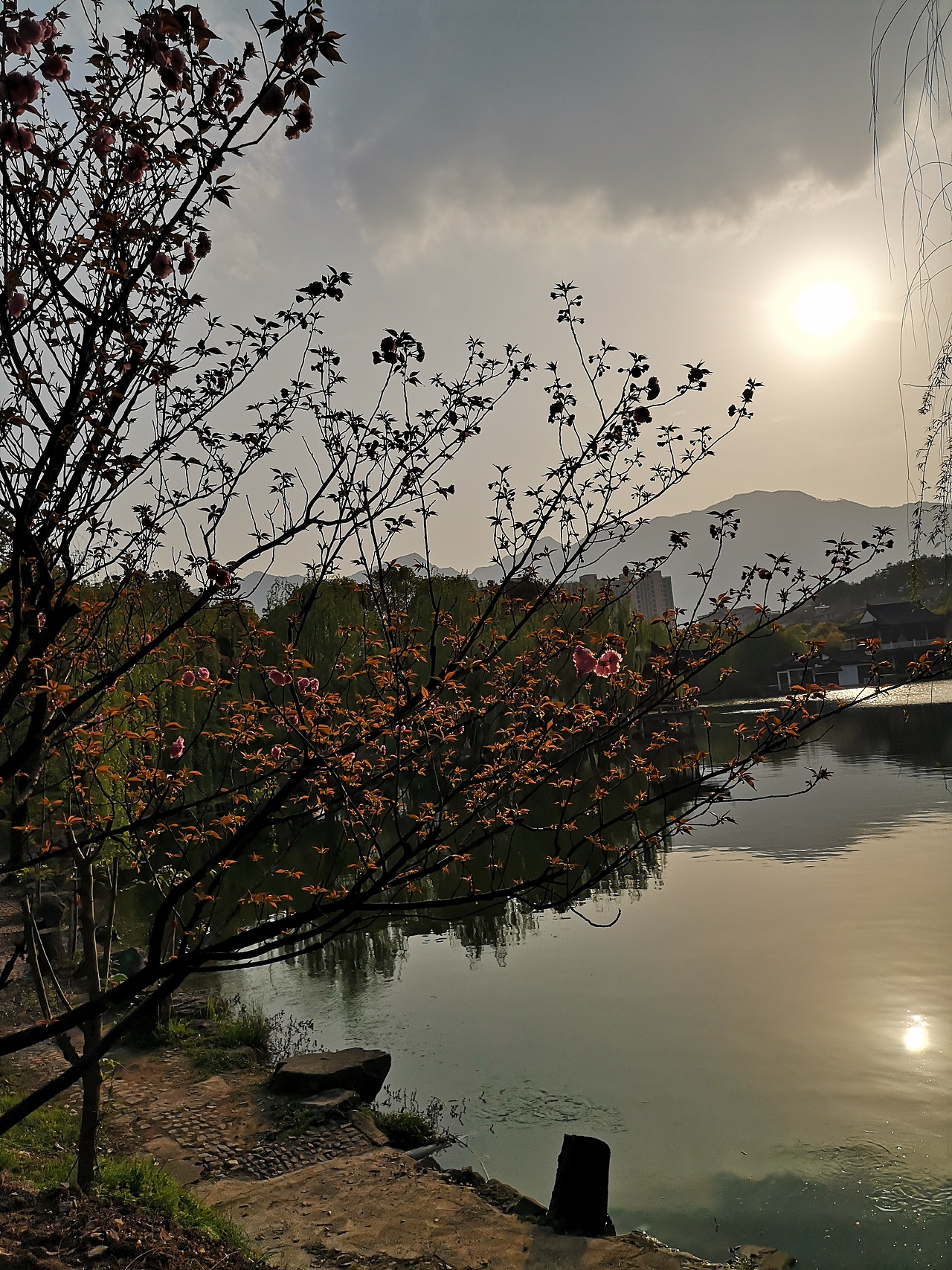 每日一拍-补拍012（图ZMTUyMTI5NDI0） - 风光摄影 - 站酷设计师芝草晟林原创素材 - 站酷ZCOOL