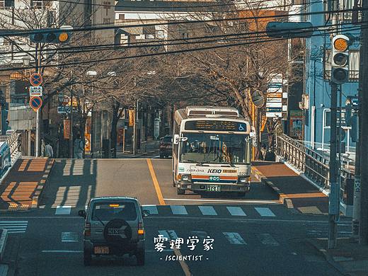 侧耳倾听 | Photo | 雾里学家scientis | 12