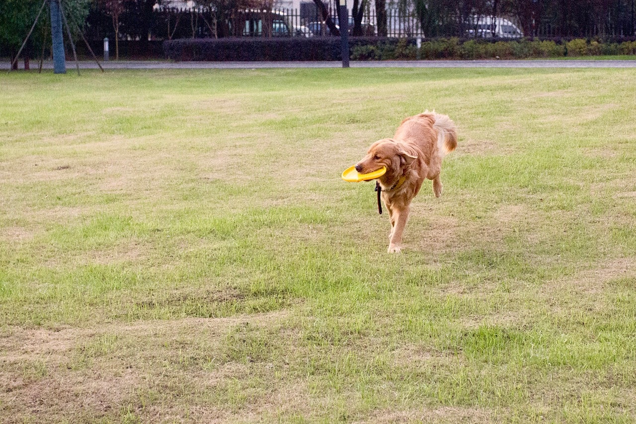 这姿势抓拍的有点夸张。