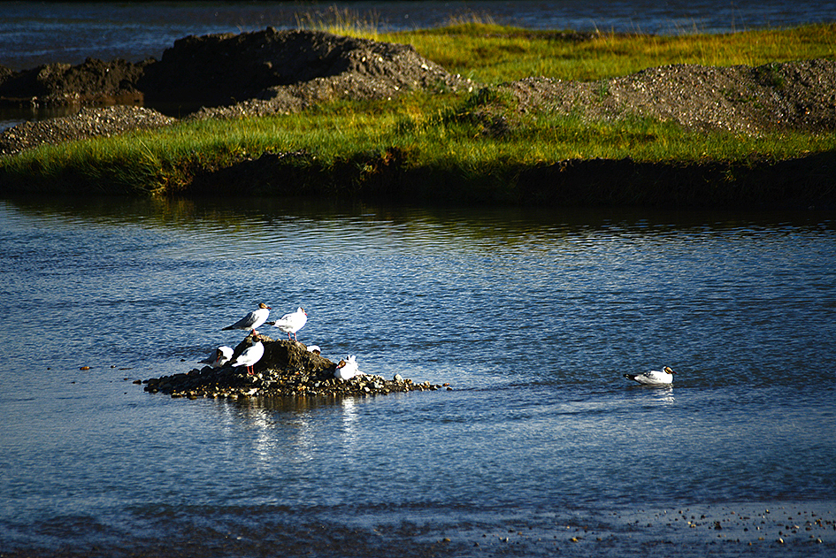 每个人眼中的阿里（图ZNTU3NTY1MjA=） - 风光摄影 - 站酷设计师此心向风原创素材 - 站酷ZCOOL