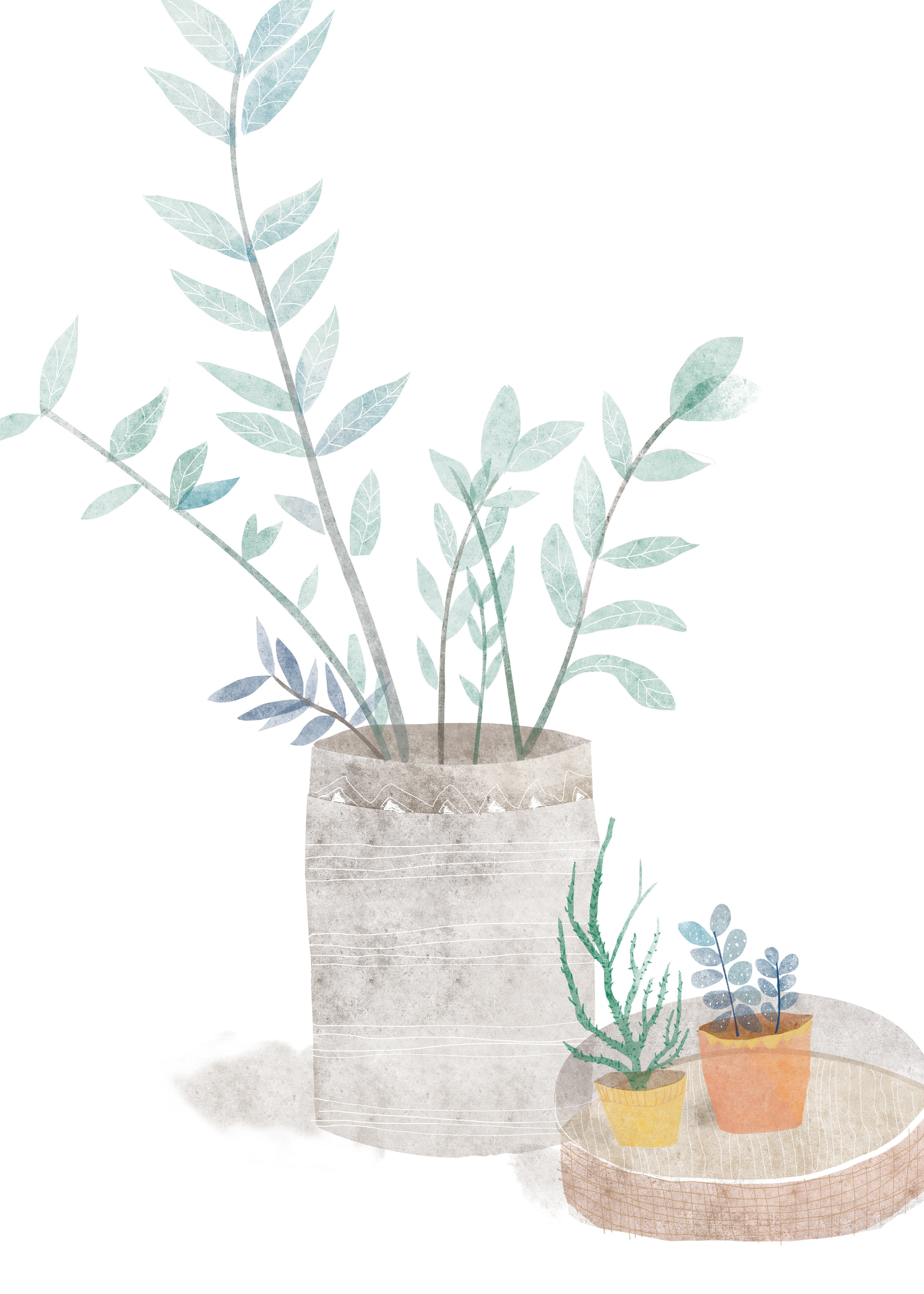 盆景|插画|插画习作|苡米昔 - 原创作品 - 站酷 (zcool)