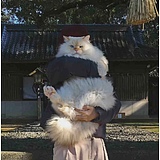 用户头像