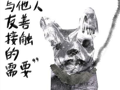 亚圣爱犬狗粮包装