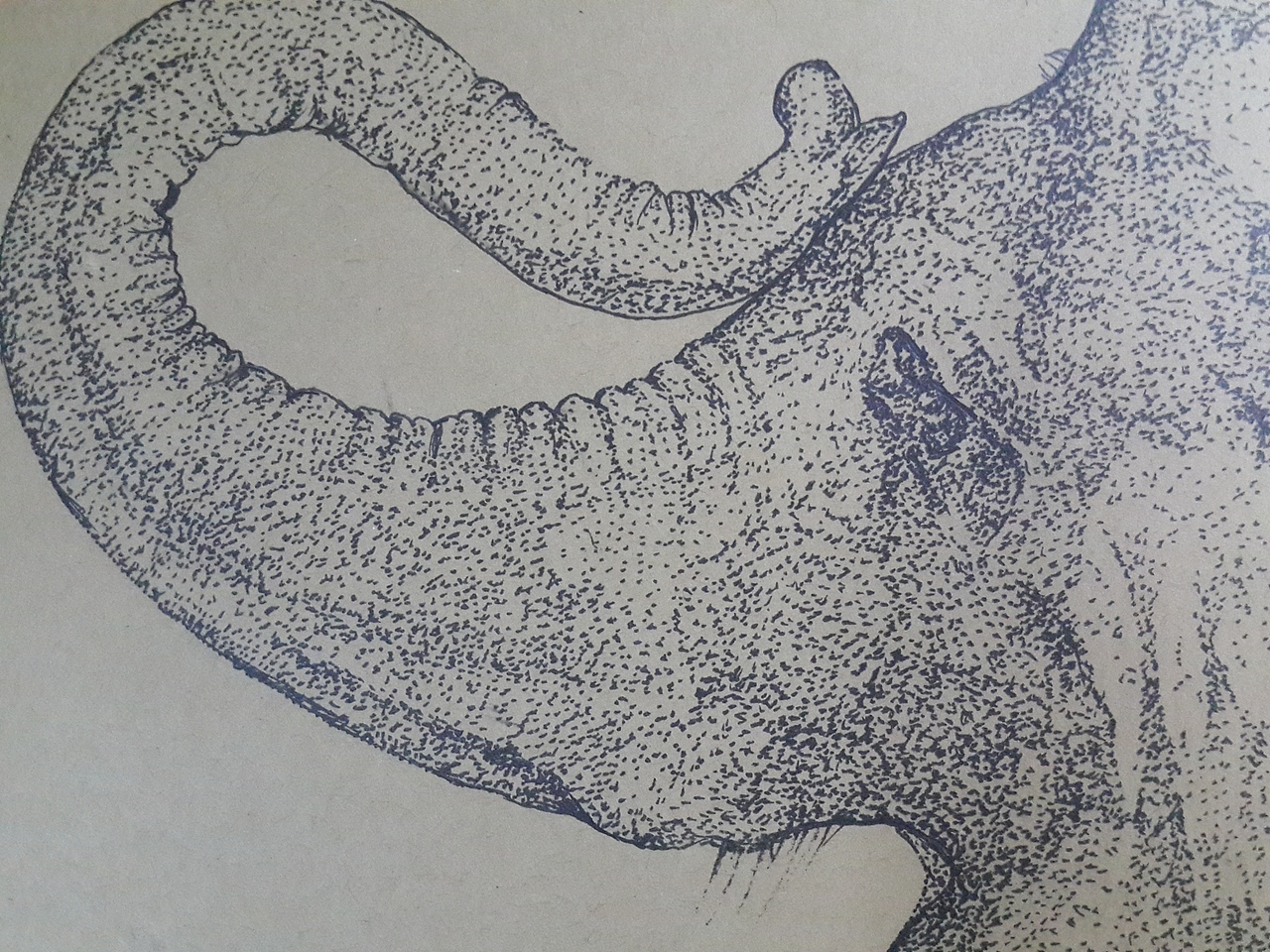 年老的大象（图ZMzU5MjYxMzI=） - 艺术插画 - 站酷设计师Dood東軒原创素材 - 站酷ZCOOL