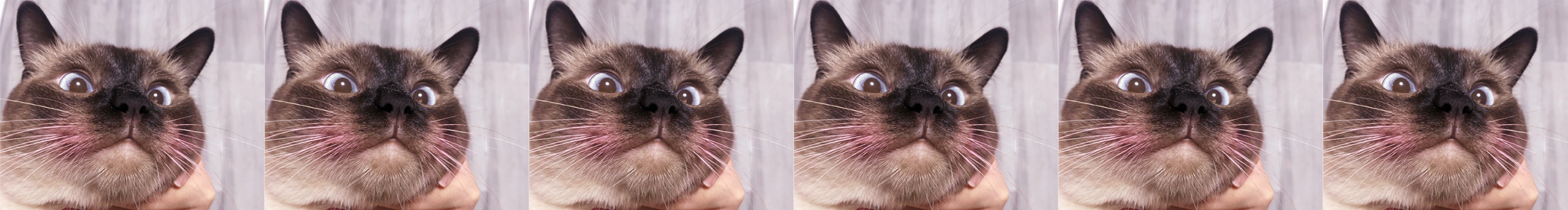 vicky呵呵哒的个人主页（封面预览） - 主页封面设置 - 站酷设计师vicky呵呵哒原创素材 - 站酷ZCOOL