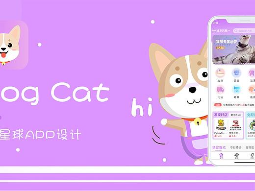 宠物app GUI