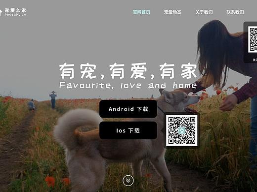 宠爱web界面
