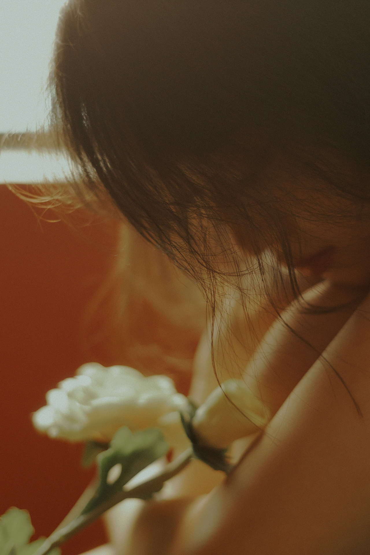 找不到出口的情绪 突然染上了光