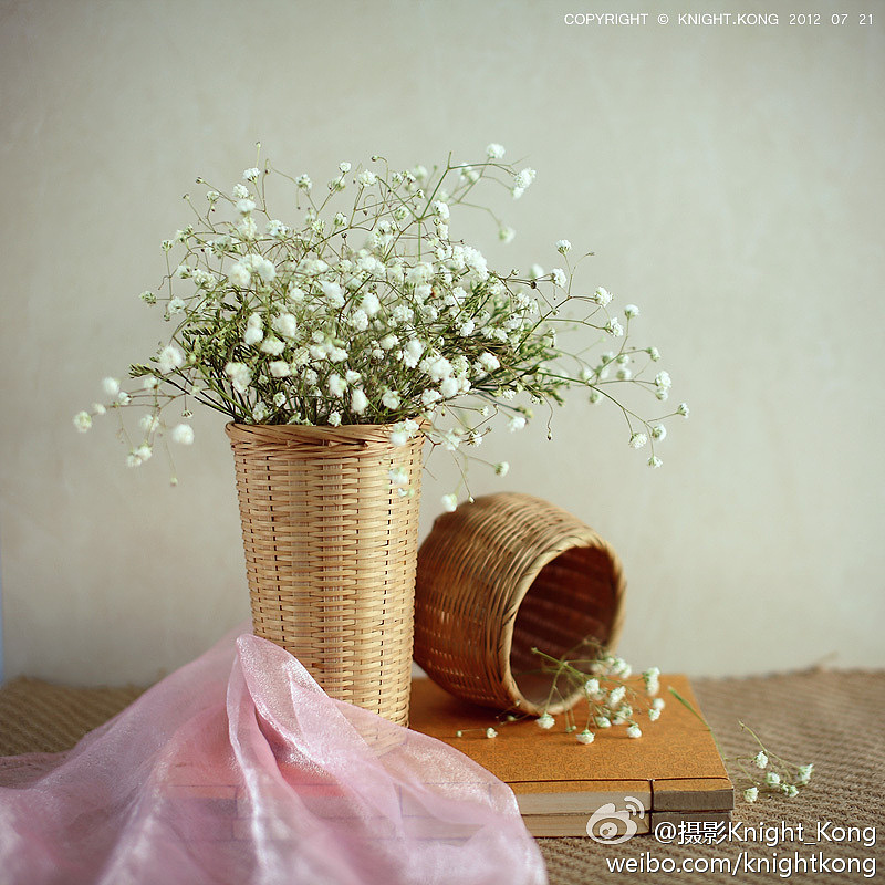 静物摄影玫瑰花，花卉摄影～！（图ZNjUxMTM4OA==） - 其他摄影 - 站酷设计师Knight_kong原创素材 - 站酷ZCOOL