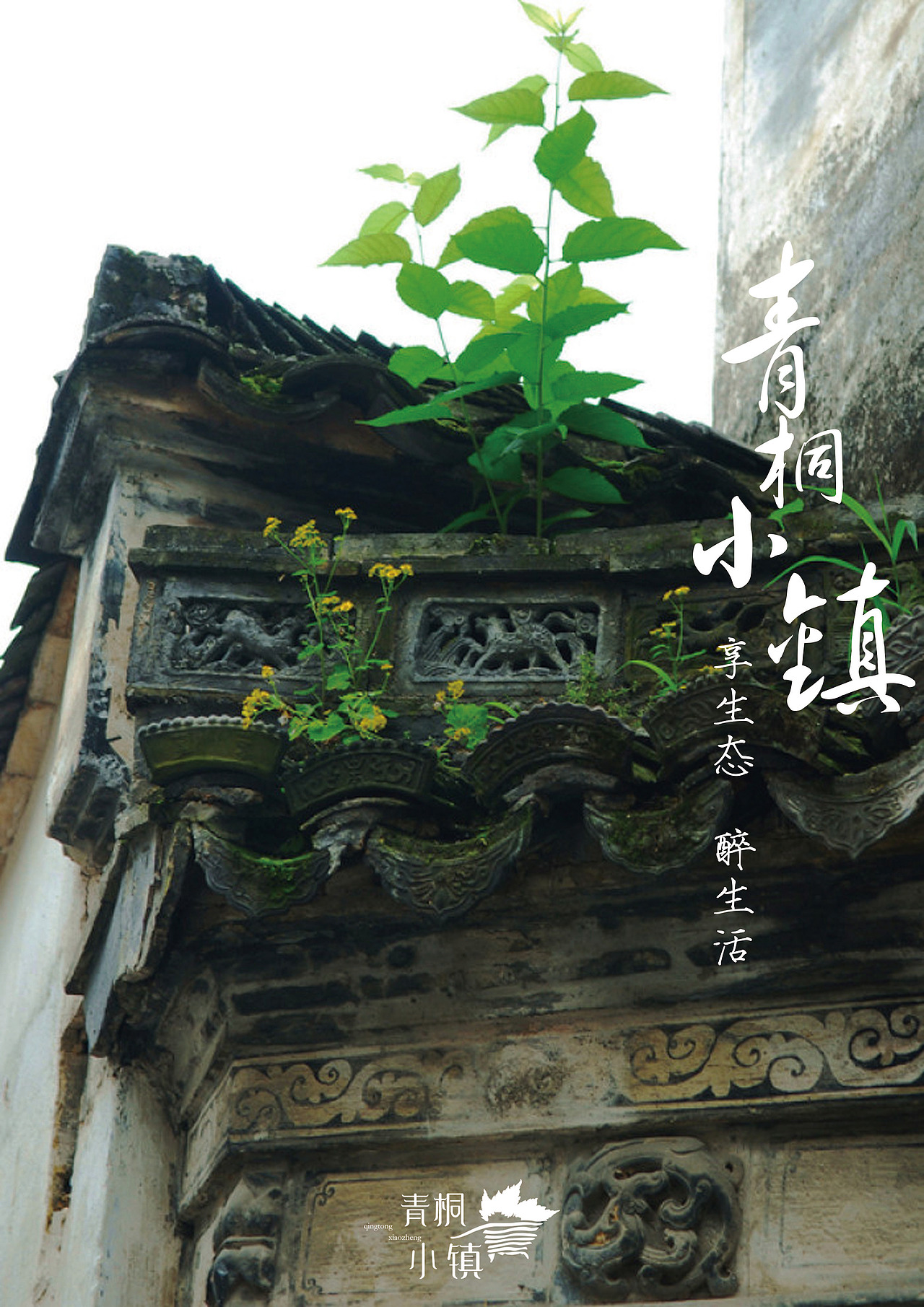 海报（图ZMTUyNzY3NjUy） - 海报 - 站酷设计师JOANNASEN原创素材 - 站酷ZCOOL