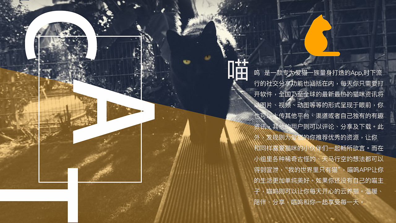 喵呜APP（图ZNzQ4MDAyMDQ=） - APP界面 - 站酷设计师白鱼非羽原创素材 - 站酷ZCOOL