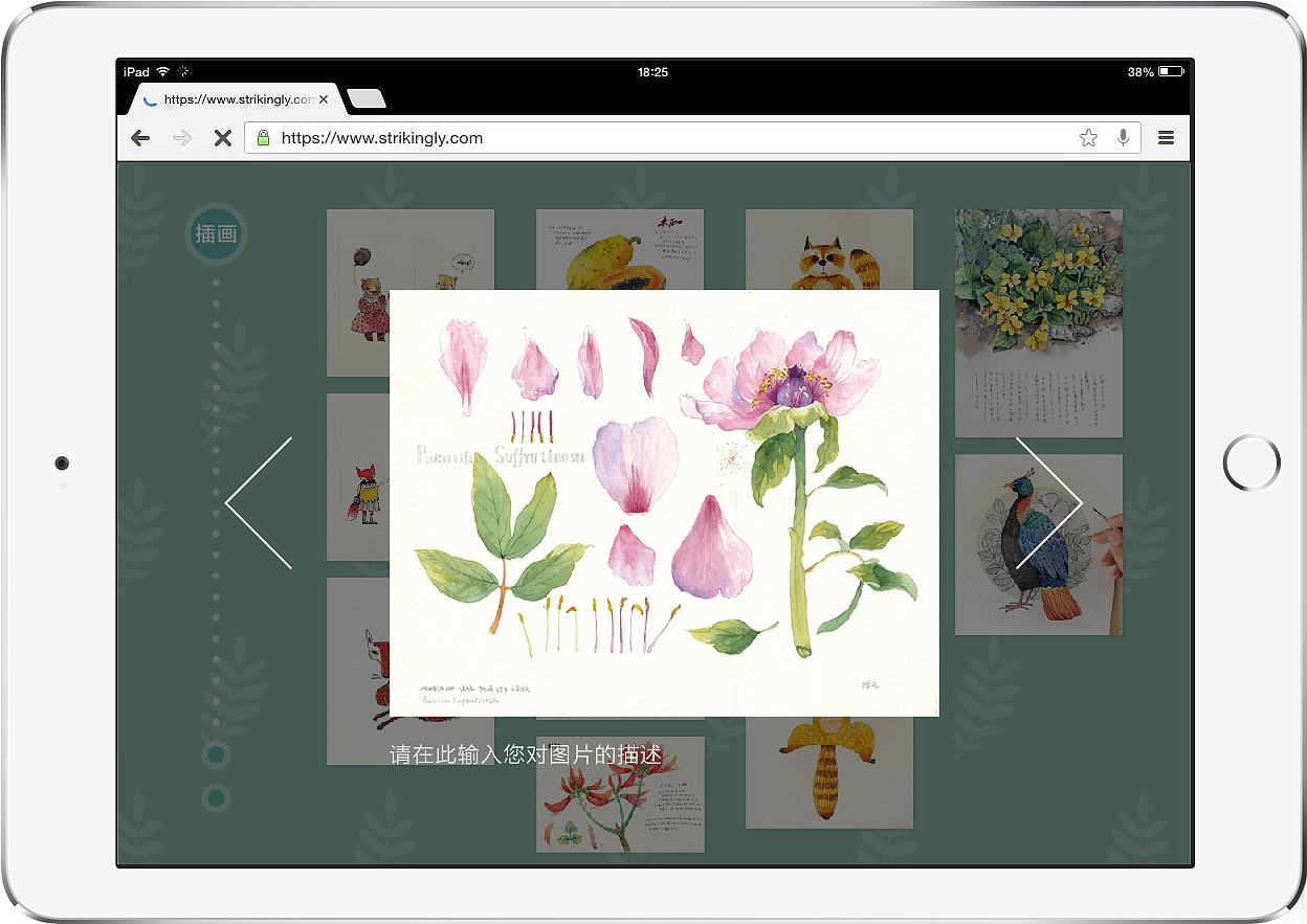 周小兜个人网站（图ZMjU2OTAyNDA=） - 个人网站 - 站酷设计师sTillLife原创素材 - 站酷ZCOOL