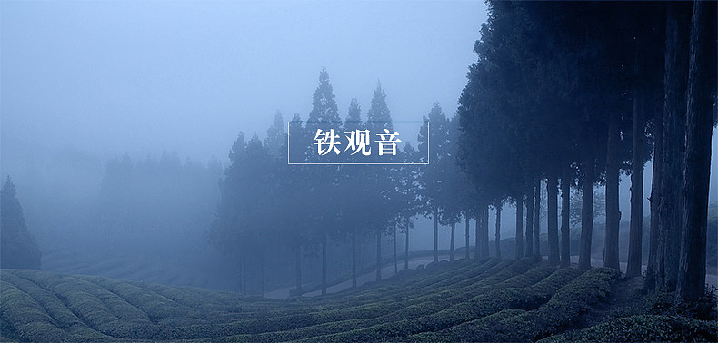 正韵级系列散茶设计（图ZODAxODMzMTI=） - 电商 - 站酷设计师kuyi酷儿原创素材 - 站酷ZCOOL