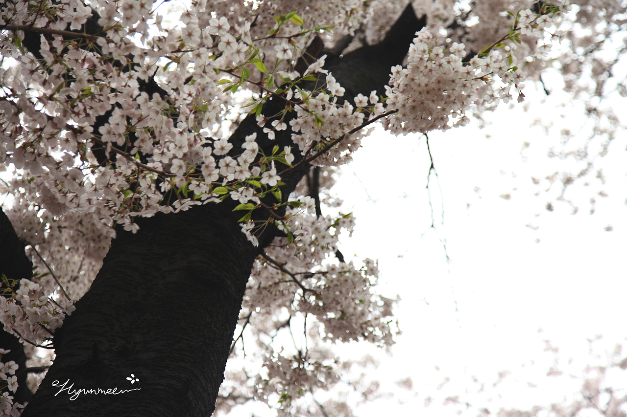 ◇韩国/首尔/仁川◇（图ZMTExODkyMjA4） - 风光摄影 - 站酷设计师AAAAAPIAO原创素材 - 站酷ZCOOL