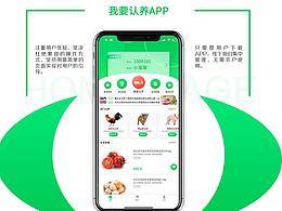 毕设案例