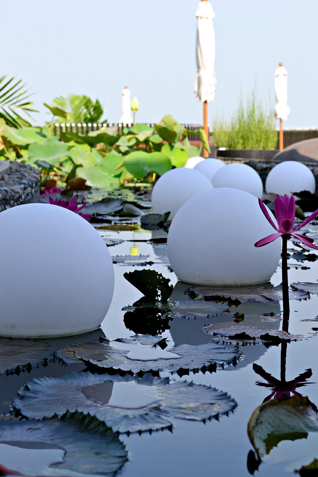 夜景意向图14（图ZMTE0MTY1OTMy） - 其他 - 站酷设计师江心蕊原创素材 - 站酷ZCOOL