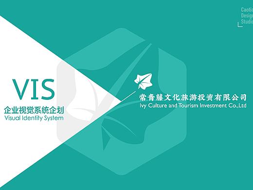 常青藤文化旅游投资有限公司 品牌全案