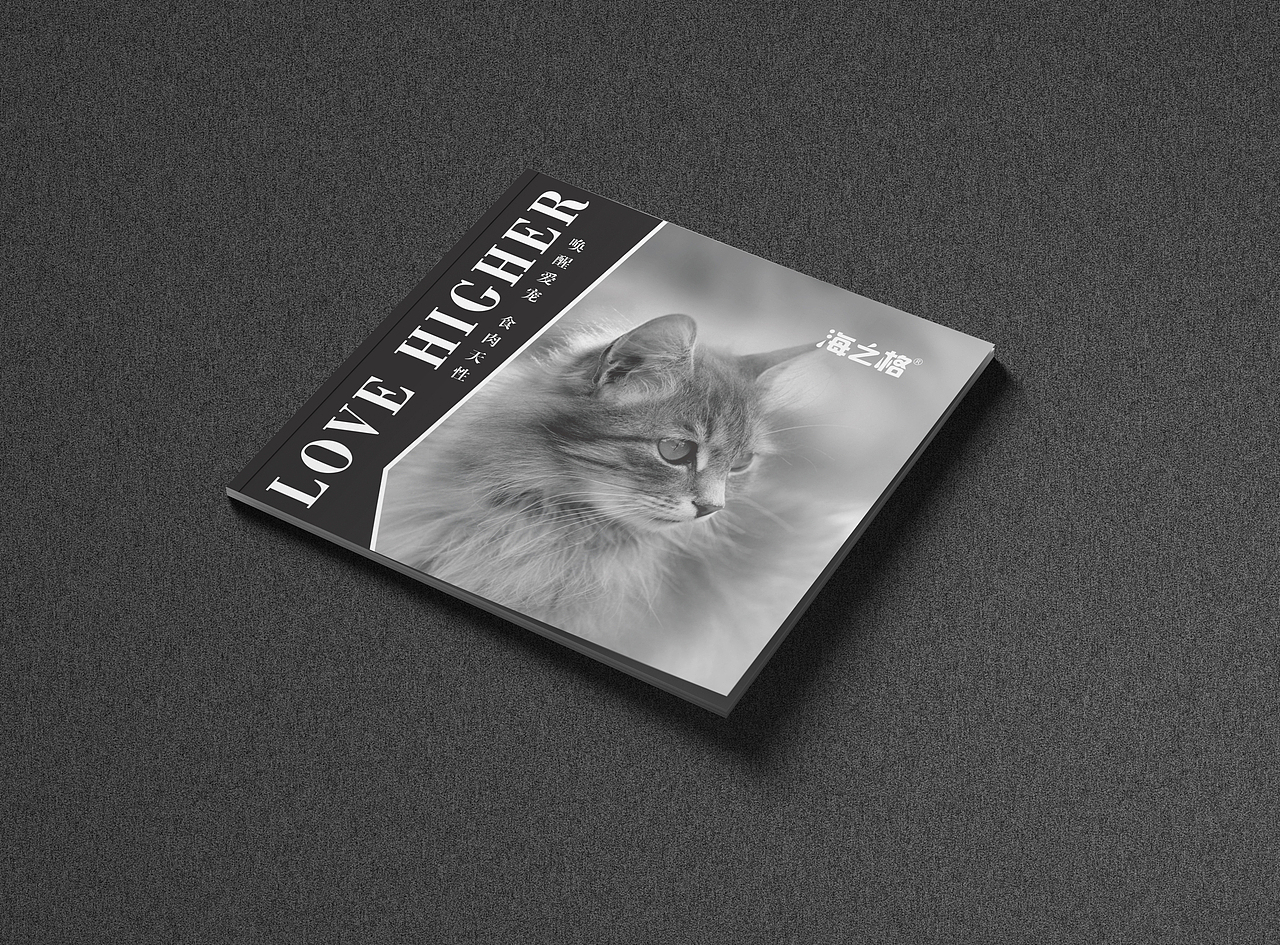 宣传册（图ZMjY5NjM0OTA4） - 书籍/画册 - 站酷设计师冷冷姐姐原创素材 - 站酷ZCOOL