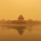 上山送豆腐的头像