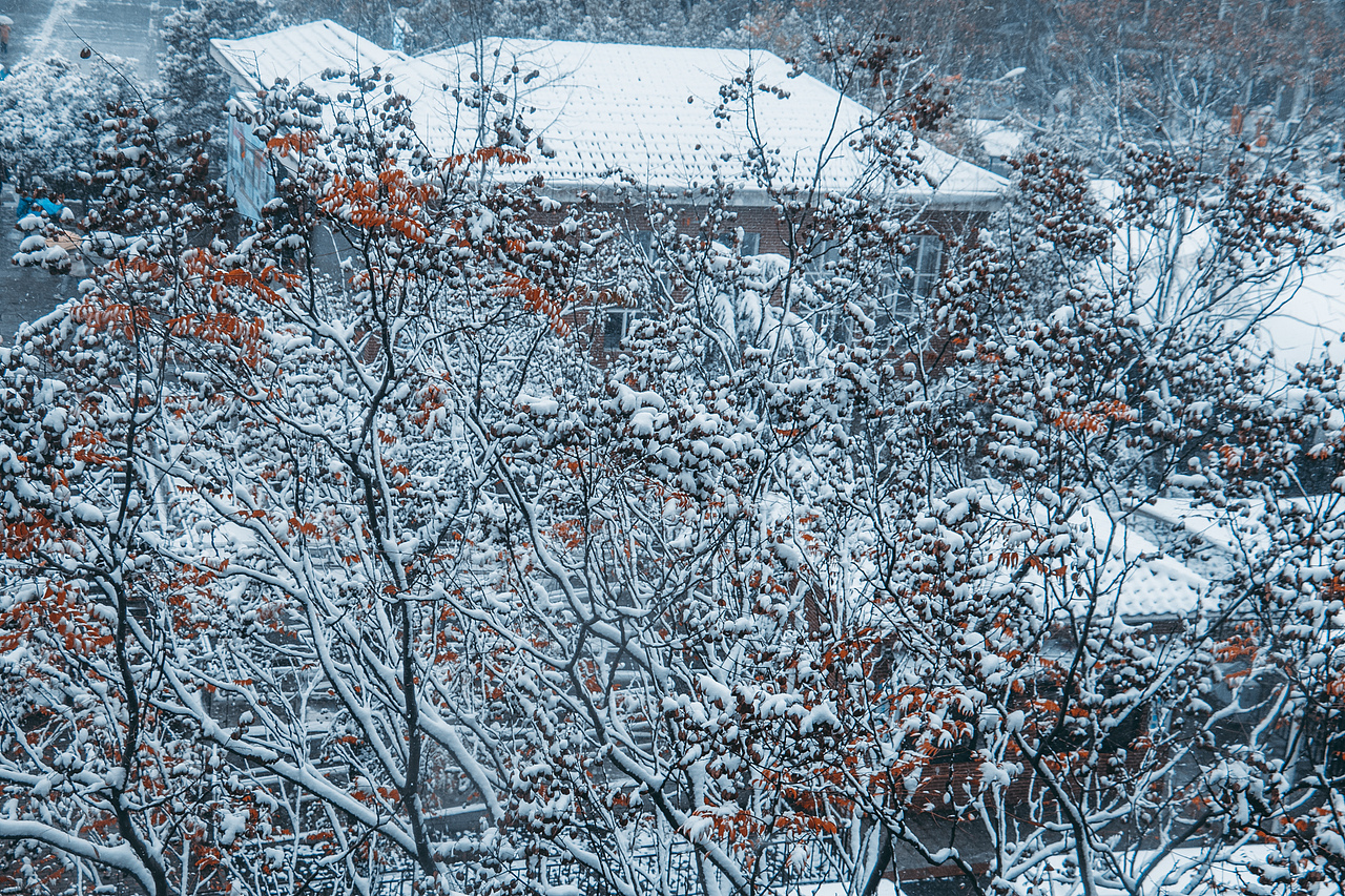 2021年长沙-初雪