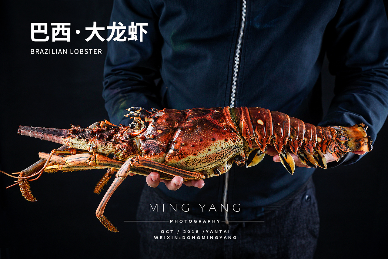 小龙虾|摄影|静物|食物摄影Sunny酱 - 原创作品 - 站酷 (ZCOOL)
