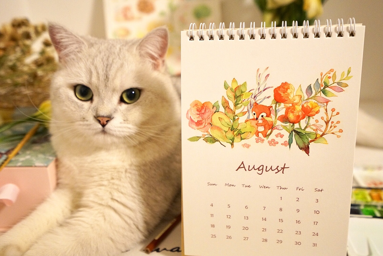 自制手绘水彩日历（图ZMTM4OTIxMDky） - 商业插画 - 站酷设计师小悦cherolia原创素材 - 站酷ZCOOL