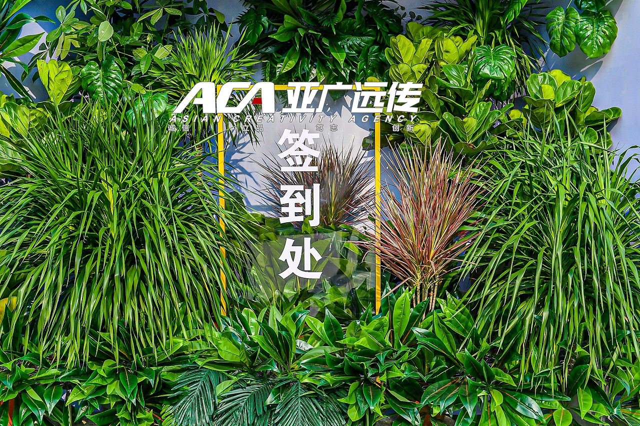 2020亚广远传&万科如园山湖纯墅示范区开放盛典