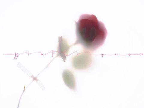 隨便拍拍｜（個(gè)人主頁(yè)-ZNjE0NTkwNDg=） - 產(chǎn)品攝影 - 站酷設(shè)計(jì)師JyintheRAIN原創(chuàng)素材 - 站酷ZCOOL