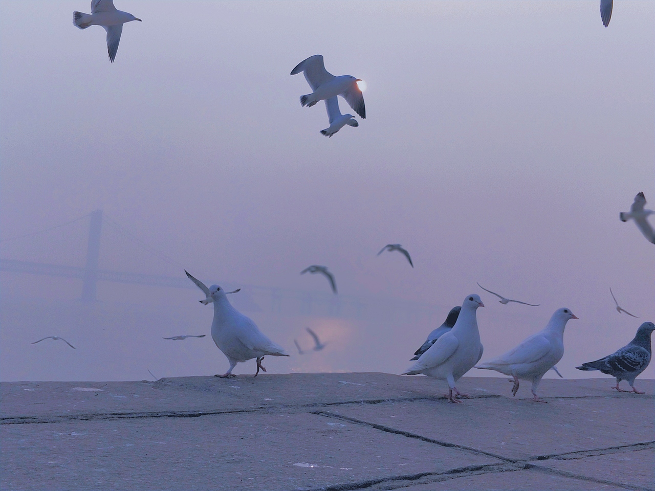 记忆里的那片海