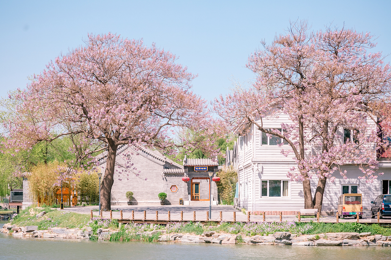 春天里的小院|摄影|环境/建筑摄影|ccyw1979_原创作品-站酷zcool