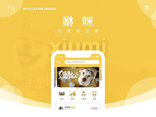 宠物领养项目总结十