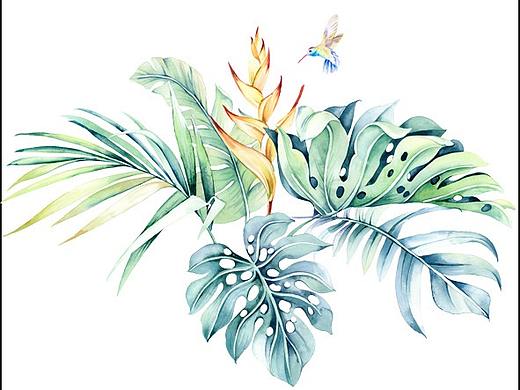 水彩，热带植物