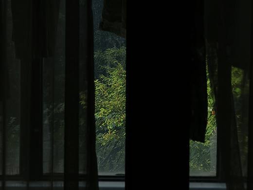 望窗
