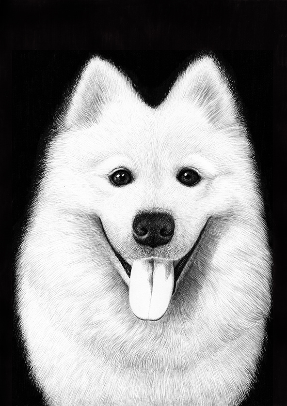 oy圆珠笔画:萨摩耶