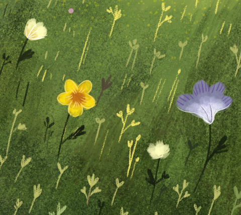 PpDlyla的个人主页（背景预览） - 主页背景设置 - 站酷设计师PpDlyla原创素材 - 站酷ZCOOL