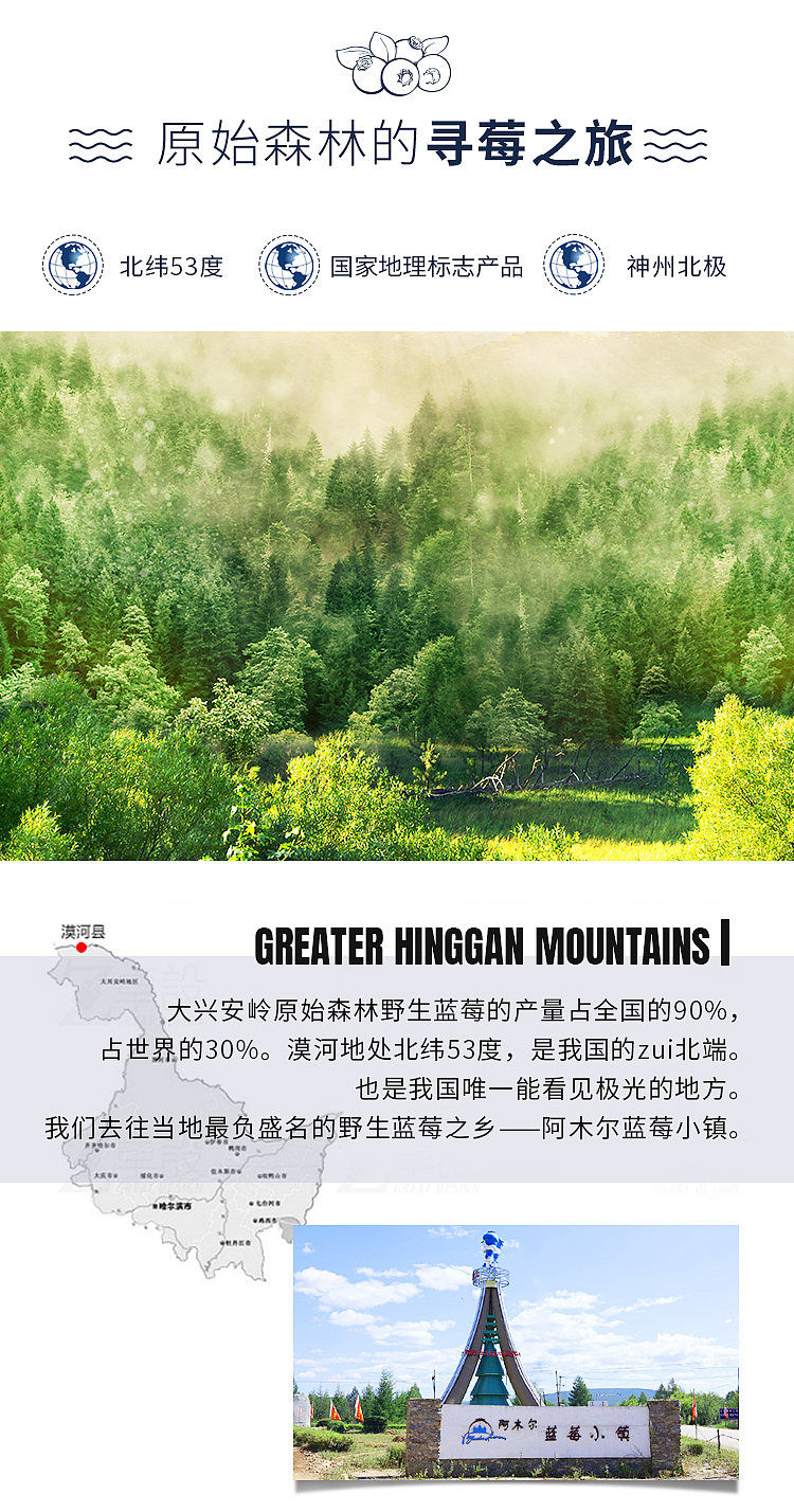 野生蓝莓原浆详情页（图ZMjA4NjQ0MjU2） - 电商 - 站酷设计师缇元原创素材 - 站酷ZCOOL
